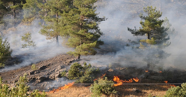 Kahramanmaraş'ta Ormanlık Alanda Yangın Çıktı